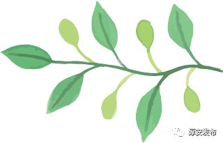 淳安 春風 吹拂第18個年頭,如今,這股暖風正越來越......