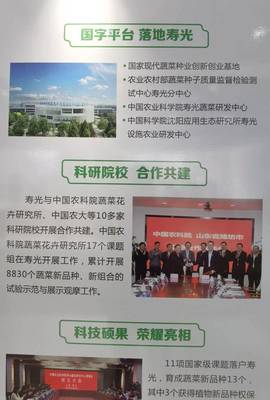 院士來了，國字號(hào)科研院所也來了——生態(tài)環(huán)境高水平保護(hù)推動(dòng)經(jīng)濟(jì)高質(zhì)量發(fā)展看濰坊見聞