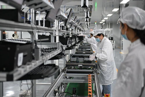 雄安新區 未來之城展新姿，綠化服務鑄就生態典范