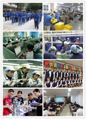 藍橋國際——專業勞務服務的背景與來歷