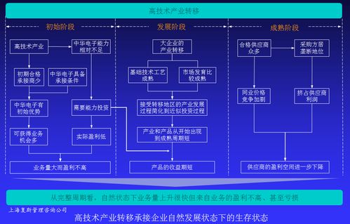高技術產品企業盈利能力提升案例Ⅳ 以戰略咨詢為基點，驅動技術賦能與價值變現